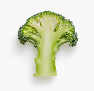 Broccoli