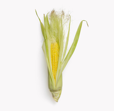 Corn